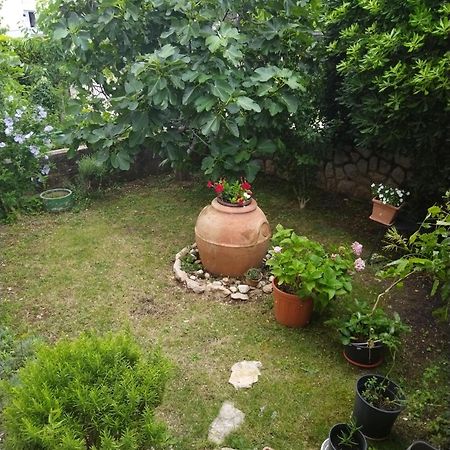 Apartman Seka كلارجيفيكا المظهر الخارجي الصورة
