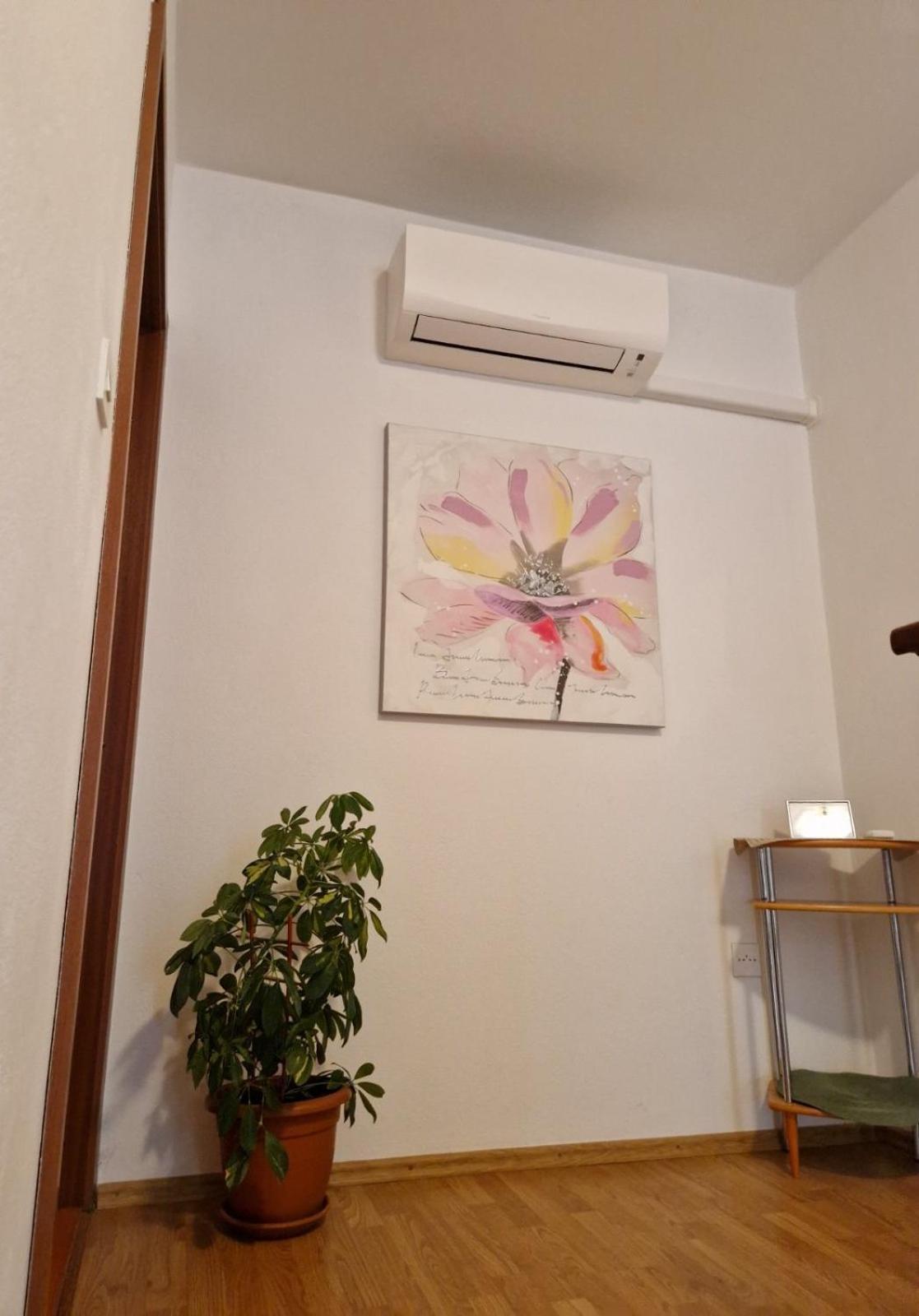 Apartman Seka كلارجيفيكا المظهر الخارجي الصورة